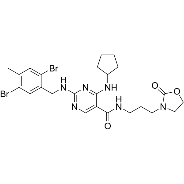 CASK-IN-1 2755241-73-5